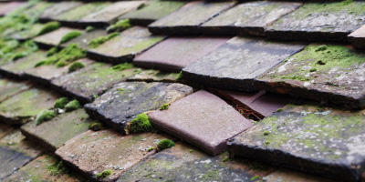 Cuddington roof repair costs